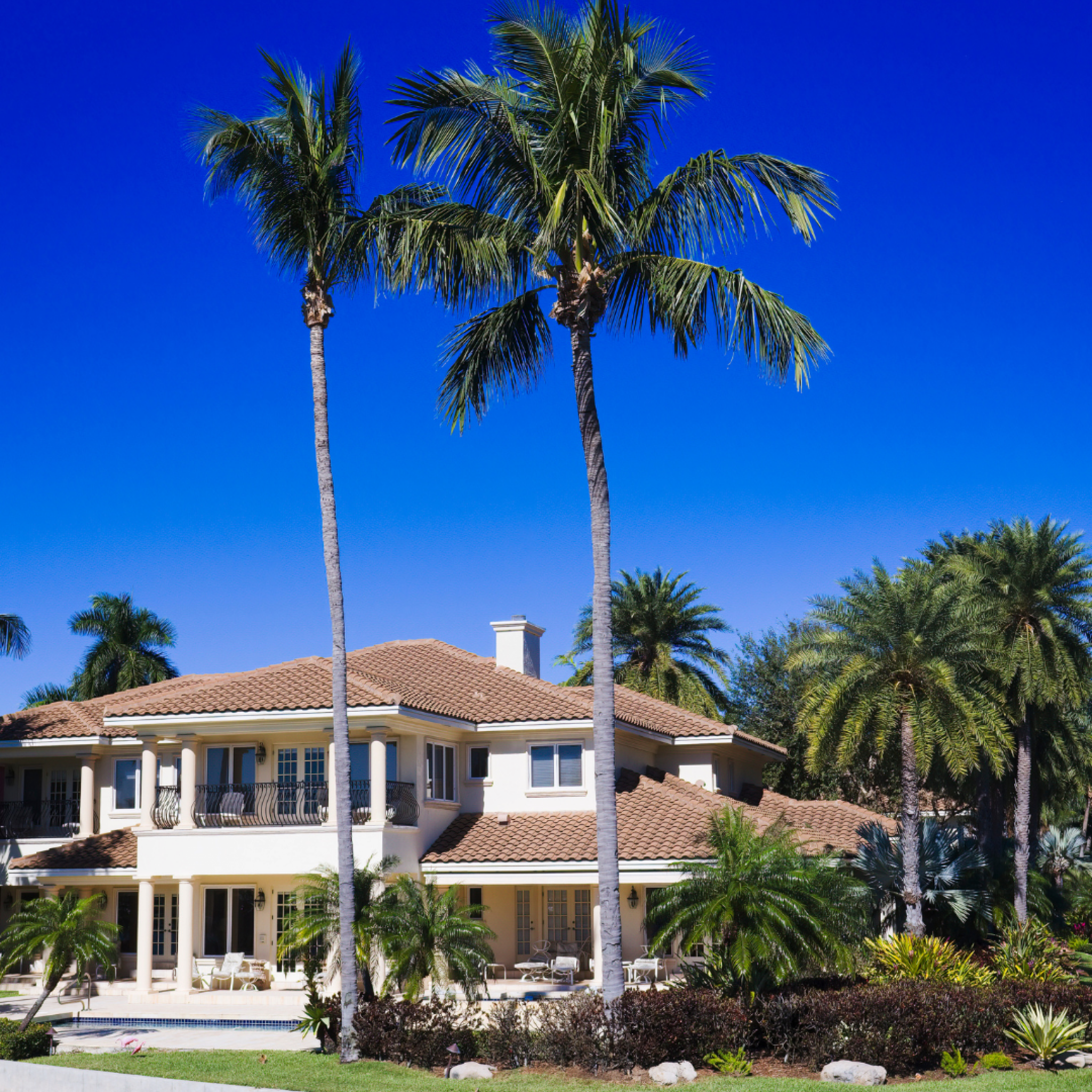 Luxury home exterior with palm trees featured in the Home Design and Remodeling Show real estate showcase.