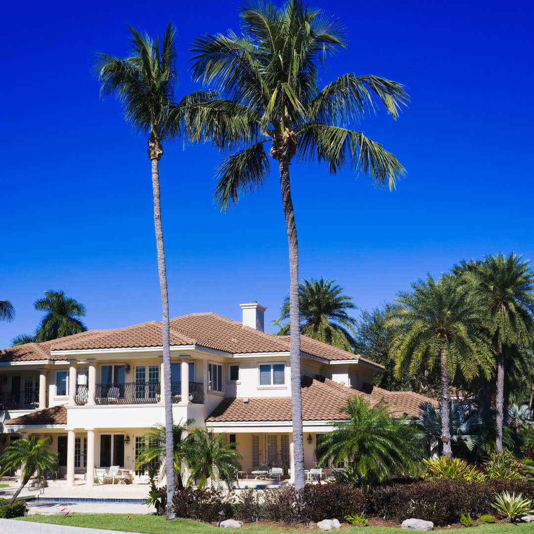 Luxury home exterior with palm trees featured in the Home Design and Remodeling Show real estate showcase.